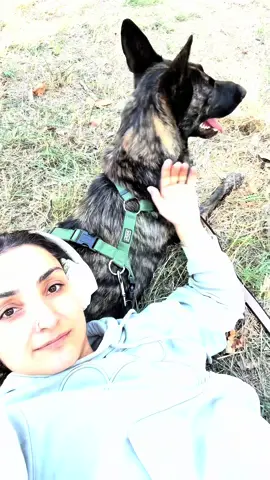 On nous a répété pendant des siècles que l'humain était supérieur. Mais soyons honnêtes deux minutes : qui a décidé qu'une vie humaine valait plus que celle d'un chien ? Les chiens ne mentent pas, ne trahissent pas, ne jugent pas et ne détruisent pas tout sur leur passage. Ils aiment sans condition et vivent avec une pureté qu'aucun humain n'atteindra jamais. Si on devait vraiment comparer, ce sont eux qui nous dépassent de loin. ☀️🐶 PourToi #ForYou #ReelDuJour #HumourChien #ChienMarrant #ViralDog 