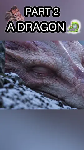 🐉#fypシ #fypシ゚viral🖤tiktok #viralvideo 🐉