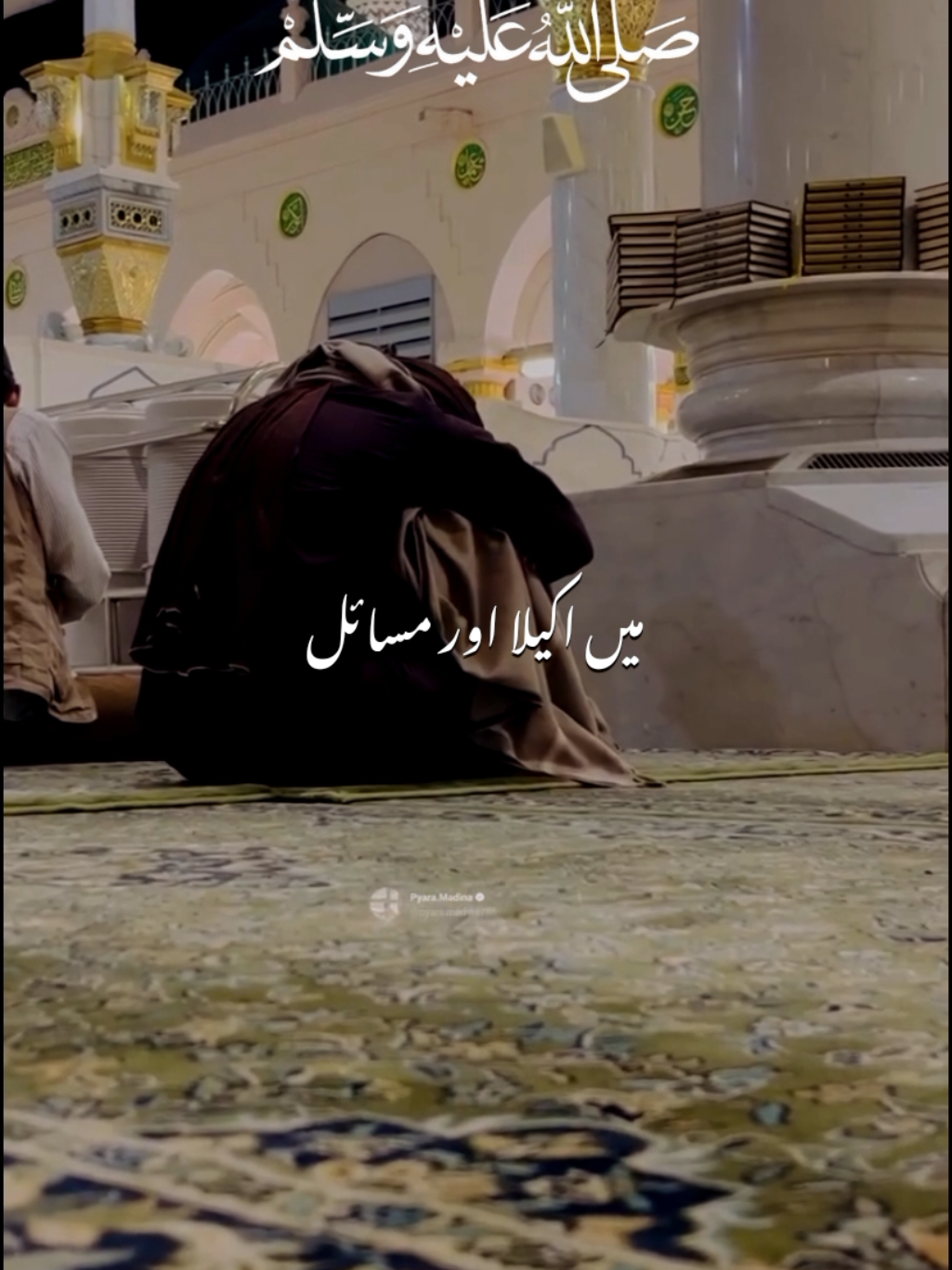Main akela or masail 🤍🌼||NAAT STATUS 🤍✨||NAAT SHAREEF ✨🤍||#صلی_اللہ_علیہ_وسلم #naat #naatstatus #naatshareef #forupage 