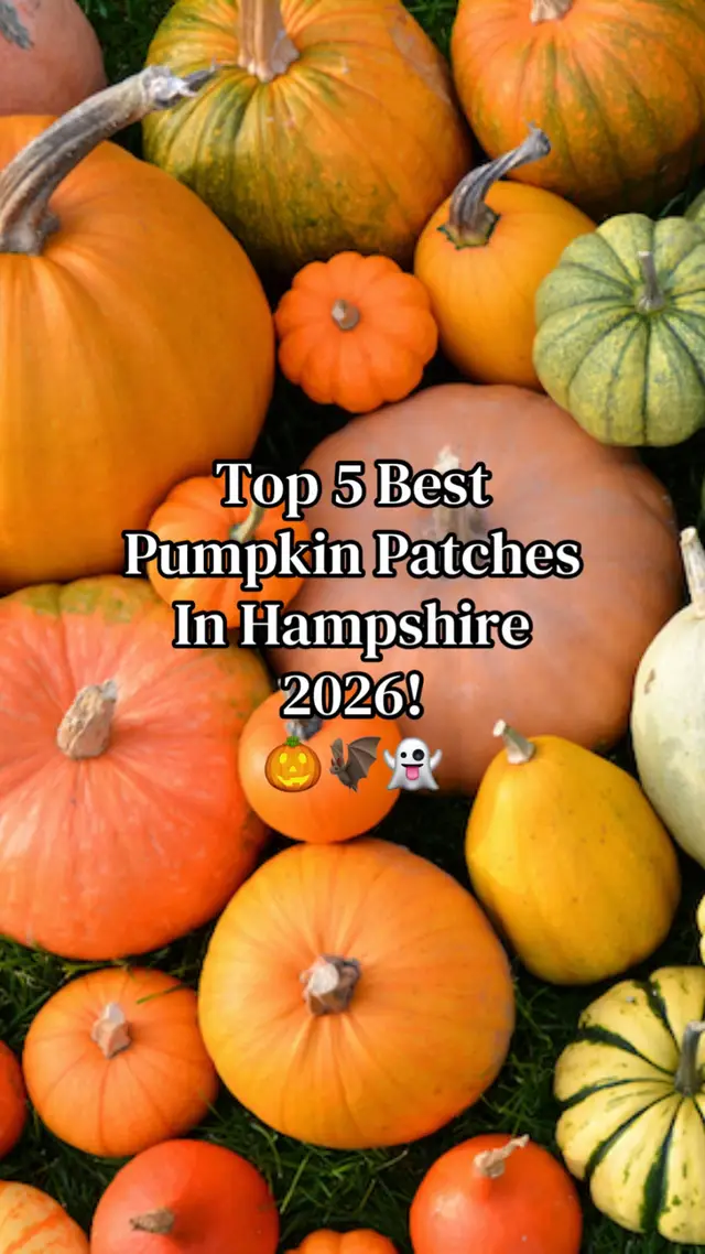 #pumpkin #hampshire #fyp #autumn #viral 