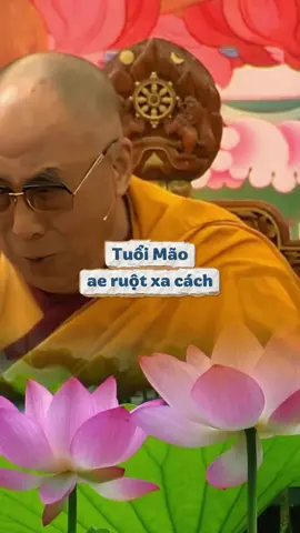 Tại sao tuổi Mão anh em ruột xa cách  #xuhuong #tuvi12congiap #phongthuy #phongthuycaivan #maymantailoc🍀☘️ 