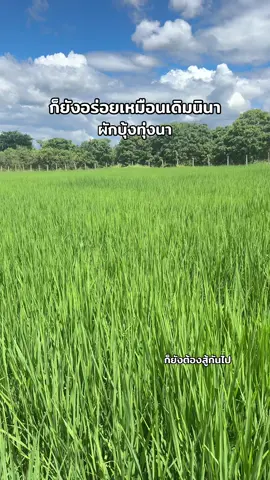 #ชีวิตต้องสู้