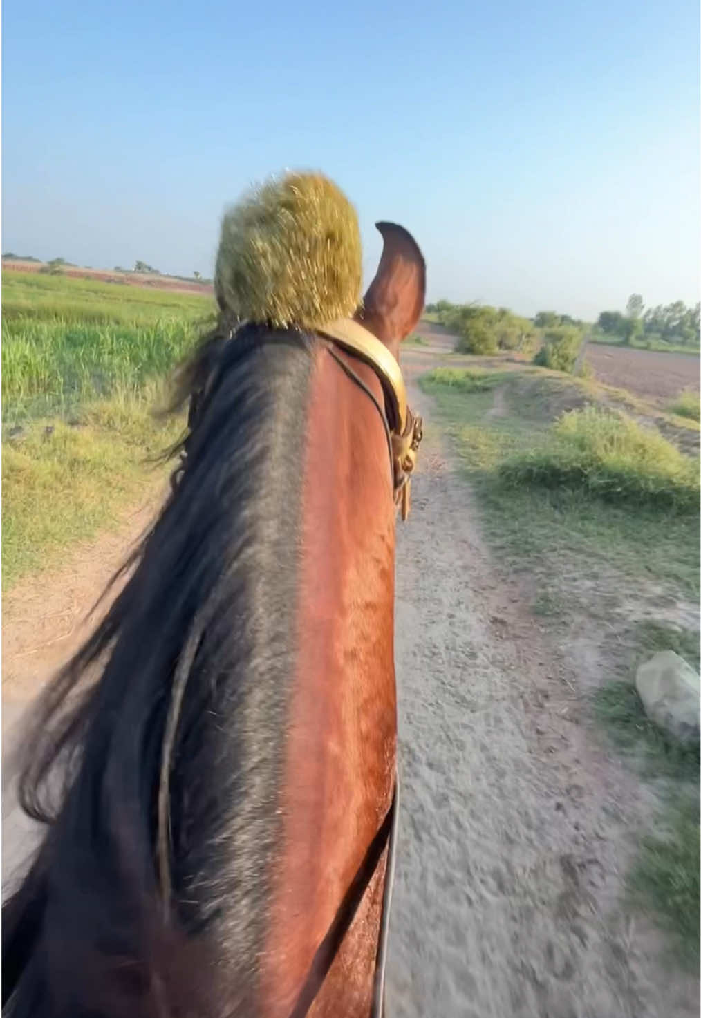 Flying #foryou #horselover #explore #Lifestyle #outriders 
