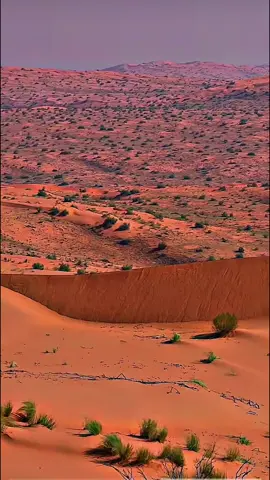 #نفود #حالات_واتس #شتاء_حائل 