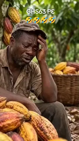 NDC has scammed poor cocoa farmers... hmmmm #npp #ndc #fyppp 