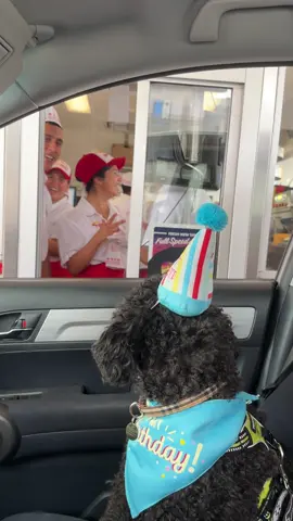 Getting pup Patty’s from in n out for my 3rd birfday. 5/17