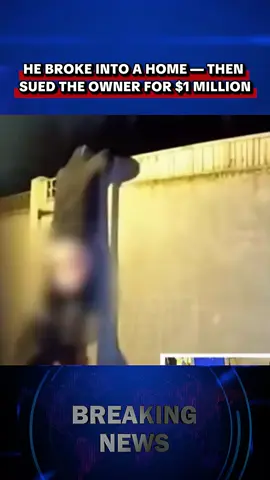 HE BROKE INTO A HOME — THEN SUED THE OWNER FOR $1 MILLION  #dogattack #homeowner #lawsuit #courtcase #viralstory 