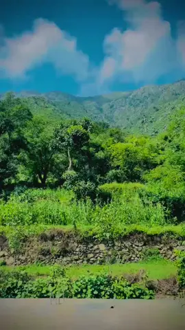 #♥️🌿🤪♥️🌿🤪♥️🌿🤪♥️ 