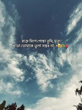😭😭😭😭