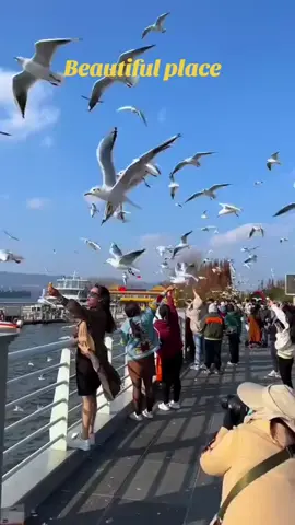 #fypシ゚viral #viral?tiktok🥰 #