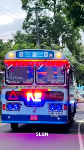 මාලුකඩේන් ලලා අයියය දුන්නු අලුත් සෙන්සරෙත් අරන් දේව අශිර්වාදය ගන්න ගිය දවසේ❤️#nirosha_enterprises #වව්නියාව15කොළඹ #NE6268 #15_පාර_දිගේ😋💙 #මැල්සිරිපුර_අපි❤ @Sasanka Dilshan 