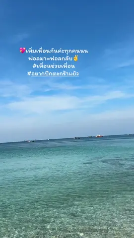 #ฟอลมาฟอลกลับ #เพิ่มเพื่อน 