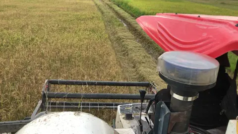 #uocduoclenxuhuong🌾🌾 #dc70gปากขยาย #fypシ゚viral 