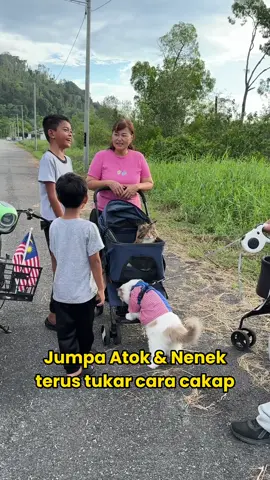 Comel kan bila budak-budak pandai cakap lembut & sabar dengan orang tua? 🥹 #kucingmalaysia #kucingviral #kucinglucu #kucingtiktok #catsoftiktok 
