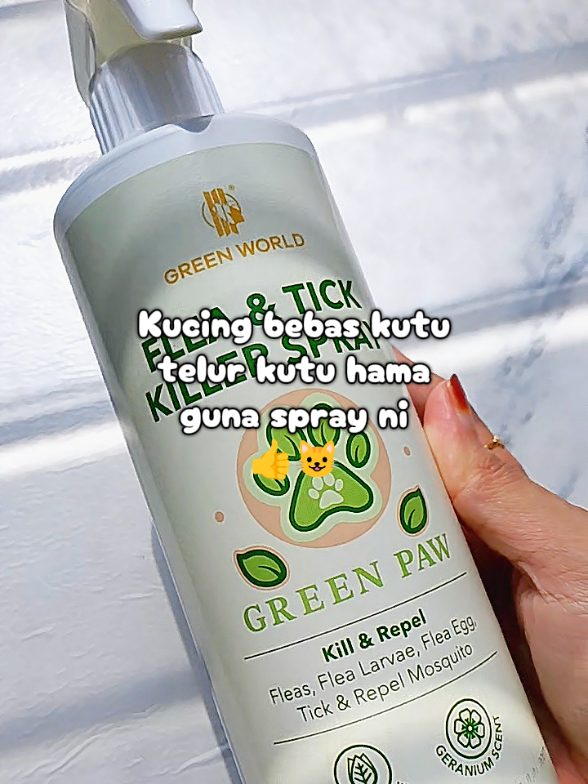 Cepat grab sekarang sebelum kutu makin membiak. #spraykutukucing #spraykutu #spraykucing #fleatickprevention 