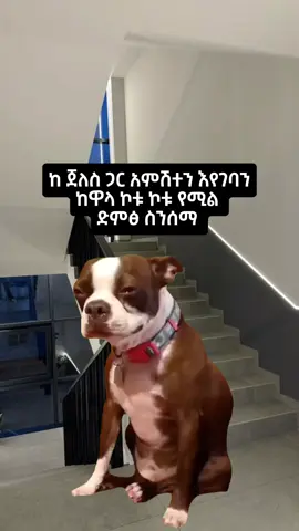 😭 Just for meme #jonimeme 