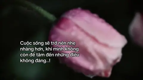Cuộc sống sẽ trở nên nhẹ nhàng hơn, khi mình không còn để tâm đến những điều không đáng..! #den16th05 #overthinking #trending 