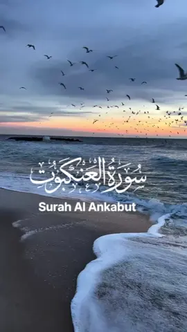 #telawatequran🤲 # Har Nafs ko mout ka Zika chakhna Ha💯 #Fyp#TrendingVedios#Viral Vedio 