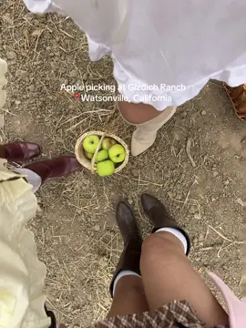 Your sign to go apple picking this season at Gizdich in 📍Watsonville, California 🧺🍂🫶✨  #watsonville831 #gizdichranch #montereybay 