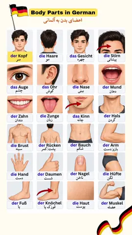 #زبان_آلمانی #آلمانی_قدم_به_قدم #deutsch #language #germania🇩🇪🇷🇴 