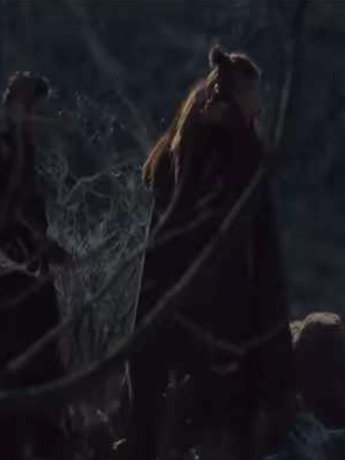 #thelastkingdom #uhtred #aethelflaed 