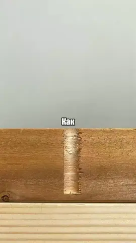 пипидастер