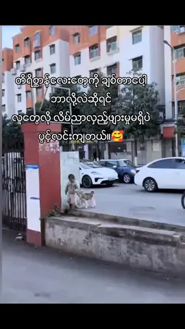 ?followလေးပါလုပ်ခဲ့ပေးပါအုံးဗျာ🥰#follow #like 