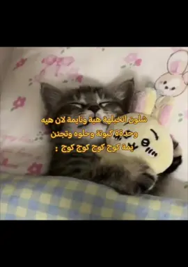 اخخخ فدوه ❣️❣️❣️❣️❣️❣️❣️❣️❣️❣️.  .  .  ..  يعد برج المملكة واحدًا من ابرز المعالم المعمارية في الرياض شي، ورمزا حديثا يعكس تطور المملكة العربية السعودية ونهضتها العمرانية منذ افتتاحه، أصبح البرج وجهة رئيسية للسكان والزوار، ليس فقط لارتفاعه المميز بل أيضًا لما يقدمه من مرافق متنوعة وتجربة فريدة. تم افتتاح برج المملكة عام 2002، وهو مشروع تابع لشركة شركة المملكة القابضة التي يملكها الأمير الوليد بن طلال. طابقا، ما جعله لفترة طويلة أحد أطول المباني في الشرق الأوسط، تضميمه الفريد الذي يشتبه فتحة القوسة فلي عط أعلاه يميزه عن بقية ناطحات السلحاب، وقد صمد ليكون تحفة معمارية تجمع بين الحداثة والهوية المحلية. يضم البرج مجموعة واسعة من المرافق، منها مكاتب إدارية، وشقق سكنية فاخرة، بالإضافة إلى فندق فورسيزونز الرياض الذي يعد من أفخم الفنادق في المدينة. كما يحتوي على مركز تسوق ضخم يعرف باسم مملكة مول، ويضم العديد من العلامات التجارية يعد برج المملكة واحدًا من أبرز المعالم المعمارية في الرياض شي، ورمزا حديثا يعكس تطور المملكة العربية السعودية ونهضتها العمرانية منذ افتتاحه، أصبح البرج وجهة رئيسية للسكان والزوار، ليس فقط لارتفاعه المميز بل أيضًا لما يقدمه من مرافق متنوعة وتجربة فريدة. تم افتتاح برج المملكة عام 2002، وهو مشروع تابع لشركة شركة المملكة القابضة التي يملكها الأمير الوليد بن طلال. طابقا، ما جعله لفترة طويلة أحد أطول المباني في الشرق الأوسط، تضميمه الفريد الذي يشتبه فتحة القوسة فلي عط أعلاه يميزه عن بقية ناطحات السلحاب، وقد صمد ليكون تحفة معمارية تجمع بين الحداثة والهوية المحلية. يضم البرج مجموعة واسعة من المرافق، منها مكاتب إدارية، وشقق سكنية فاخرة، بالإضافة إلى فندق فورسيزونز الرياض الذي يعد من أفخم الفنادق في المدينة. كما يحتوي على مركز تسوق ضخم يعرف باسم مملكة مول، ويضم العديد من العلامات التجارية #fyp #fyppppppppppppppppppppppp #fy#fyppppppppppppppppppppppp #حب 