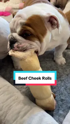 Multiple sizes. The Bulldogs love them! #beefcheek #beefcheekrolls #naturaldogchew #dogchew #dogchews