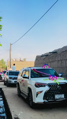 ریکشوو هسی رش جوړ کړی😮‍💨🦅 .. .. .. .. #foryoupage❤️❤️ #singapore #furdich❤ #fypシ #viralvideo @* 𓆩🥇𓆪 Š𝖎Ń𝖆𝖓 𓆩🐊𓆪 