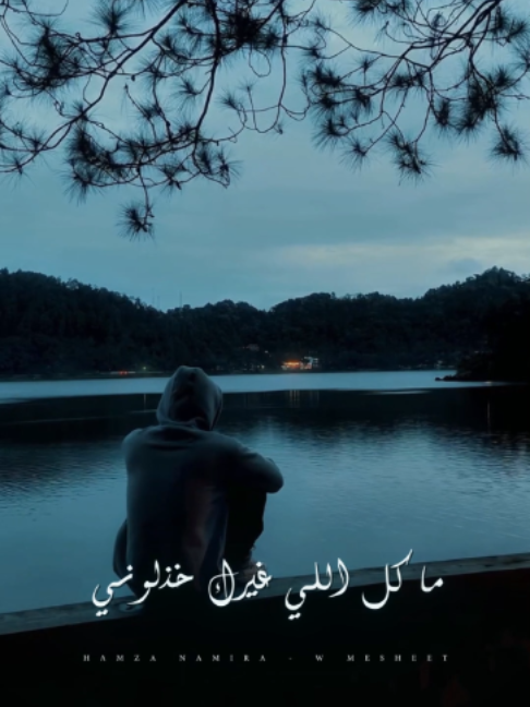 ما كل اللي غيرك خذلوني  #hamzanamira #foryou #fyp #حمزه_نمره