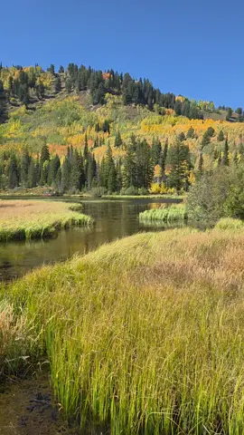 #utah #mountains #Hiking 