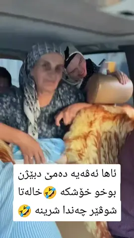 #دێرەلوک #دهوک #کوردستان #زاخو #ئاکرێ 