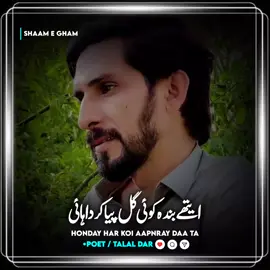 Honday har koi apnray da ty  #ShaamEGham #PunjabiPoetry #TalalDar #foryou #viral @TalalDar @Talal Dar 
