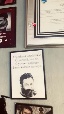 Ahmetkaya #storilikvideolar📌 #keşfettttt #keşfeteyizzzzzzz #keşfet #takipet 