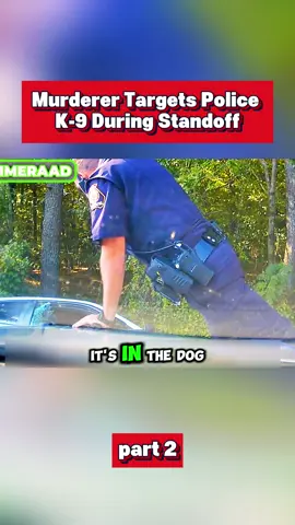 Part 2  #cops #bodycam #policeofficer #crime #fyp