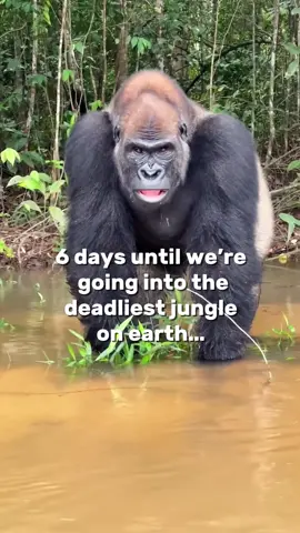 6 days to go until we’re dropping into the Congo basin…