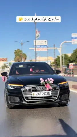 #chlef #mariage #ain_defla #oran #alger 