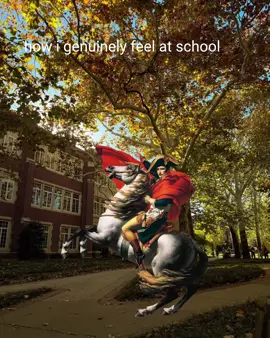 (I don’t 😛) #napoleon #napoleonbonaparte #napoleonedit #napoleonicwars #History 