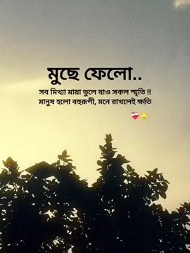 মুছে ফেলো সব মিথ্যা মায়া ভুলে যাও সকল স্মৃতি মানুষ হলো বহুরূপী মনে রাখলেই ক্ষতি #greenscreen #torofamily #toryoupage #torynichols #trending 