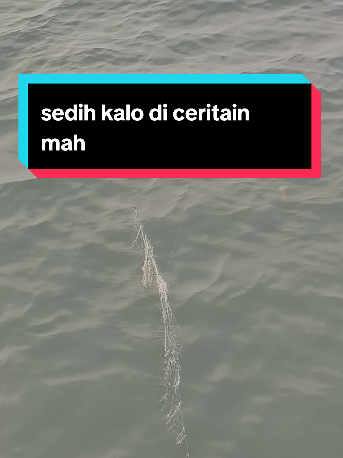 mancing ... mancing ...  🤣🤣🤣 sedih kalo di ceritain mah mancing begini mulu #mancingmania #bagantanjungpasir #baganpertamina #bagantanjungkait #mancingbagan 
