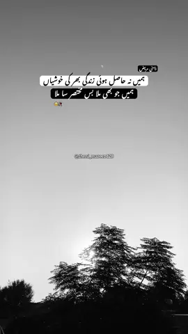 ہمیں جو بھی ملا مختصر سا ملا 🥺💔#dontunderreviewmyvideo #sadpoetry #growmyaccount #foryoupage 
