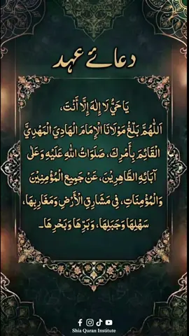 Dua Ahad is a heartfelt prayer renewing our covenant and allegiance to Imam al-Mahdi (عج), asking Allah to keep us steadfast among his sincere followers. 🤲 #DuaAhad #ImamMahdi #YaMahdi #AhlulBayt #ShiaIslam 