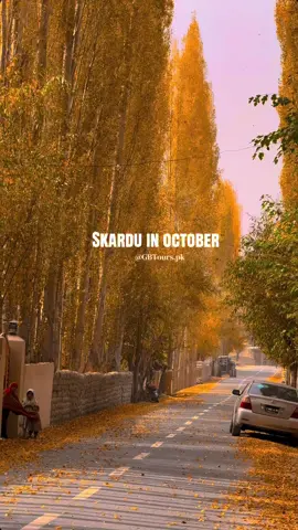 Skardu in october🍁 5 Days & 4 nights by air (customized and private)trip to Skardu valley. 𝗪𝗵𝗮𝘁 𝘁𝗵𝗲 𝗣𝗮𝗰𝗸𝗮𝗴𝗲 𝗶𝗻𝗰𝗹𝘂𝗱𝗲𝘀? 🔹Return tickets Islamabad-skardu-Islamabad 🔹Hotel Accommodation 🔹Private transport (Car/Prado) for sightseeing in Skardu & surroundings  🔹Breakfast  🔹Local Tour Guide  🔹Fuel expenses 🔹jeep 🔹photography  𝗠𝗮𝗶𝗻 𝗔𝘁𝘁𝗿𝗮𝗰𝘁𝗶𝗼𝗻𝘀 𝘁𝗼 𝗘𝘅𝗽𝗹𝗼𝗿𝗲 𝐃𝐚𝐲 𝟎𝟏 Kachura Valley  Shangri-La lake  Upper Kachura Lake Xhoq Valley 𝐃𝐚𝐲 𝟎𝟐 Shigar Valley Sarfaranga Cold Desert Enjoy Quad Bike & Jeep Safari Shigar Viewpoint Shigar Fort Amburiq Mosque Blind Lake Explore Skardu Bazar  𝐃𝐚𝐲 𝟎𝟑 Kharmang Valley  Chocolate Rock ) Sermik Valley Manthokha Waterfall  𝐃𝐚𝐲 𝟎𝟒 Deosai / Basho Valley Satpara lake /Jsr Road Satpara valley /Basho Bridge  Deosai top / Basho Waterfall  Bara Pani / Basho Valley  Kala Pani /Basho Meadows (Sultanabad) Shosar lake 𝐃𝐚𝐲 𝟎𝟓  Back to home 𝗦𝘁𝗮𝗻𝗱𝗮𝗿𝗱 𝗣𝗮𝗰𝗸𝗮𝗴𝗲  𝗙𝗿𝗼𝗺 𝗜𝘀𝗹𝗮𝗺𝗮𝗯𝗮𝗱 110,000/ per head  220,000/ couple 𝟓,𝟔,𝟕,𝟖,𝐝𝐚𝐲𝐬 𝐏𝐚𝐜𝐤𝐚𝐠𝐞𝐬 𝐀𝐯𝐚𝐢𝐥𝐚𝐛𝐥𝐞. We will design your tours according to your demands.  Families, Couples & groups can join us. 𝐂𝐚𝐭𝐞𝐠𝐨𝐫𝐢𝐞𝐬 𝐨𝐟 𝐚𝐯𝐚𝐢𝐥𝐚𝐛𝐥𝐞 𝐏𝐚𝐜𝐤𝐚𝐠𝐞𝐬: (𝐀)𝐒𝐭𝐚𝐧𝐝𝐚𝐫𝐝 𝐏𝐚𝐜𝐤𝐚𝐠𝐞 (𝐁)𝐃𝐞𝐥𝐮𝐱𝐞 𝐏𝐚𝐜𝐤𝐚𝐠𝐞 (𝐂)𝐏𝐫𝐞𝐦𝐢𝐮𝐦 𝐏𝐚𝐜𝐤𝐚𝐠𝐞 Same packages available for 𝐇𝐮𝐧𝐳𝐚 site as well. 𝗙𝗼𝗿 𝗕𝗼𝗼𝗸𝗶𝗻𝗴 𝗖𝗮𝗹𝗹 / 𝗪𝗵𝗮𝘁𝘀𝗔𝗽𝗽: +92355-4776234 +923425060424 #foryoupage #viral #unfrezzmyaccount #viralvideo 