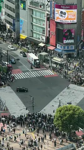 #shibuyacrossing #timelapsevideo 🇯🇵🇯🇵