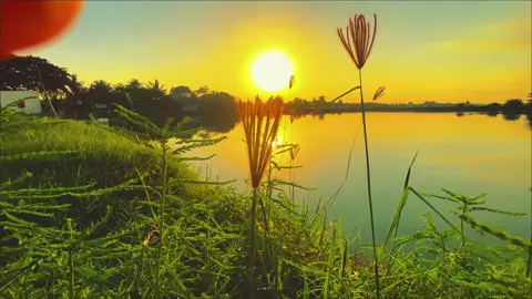 Hơi thê thái trần gian có phải trêu đùa với người hiền lương #chill #canhdep #mientay #xuhuong 