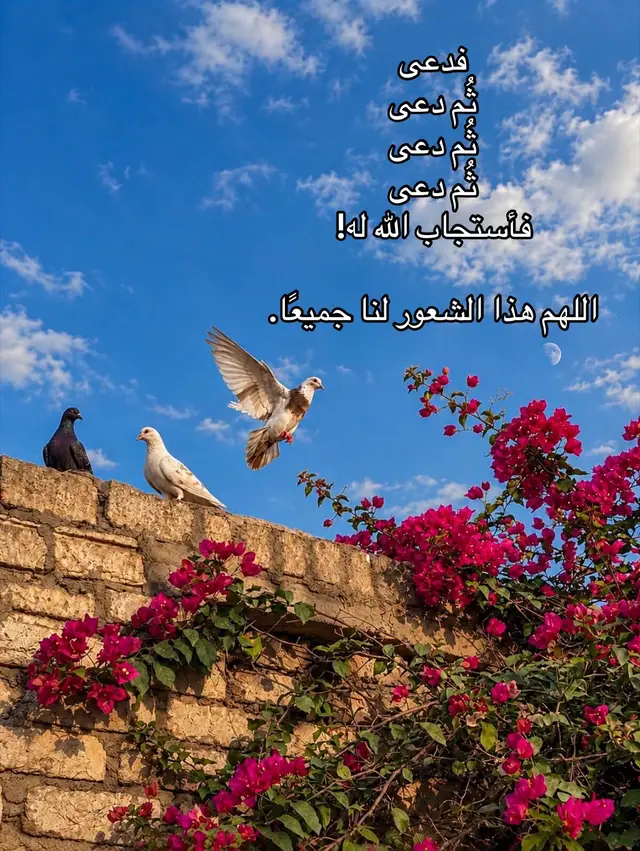 #creatorsearchinsights #حالاتدينيةاسلامية #قران #فاستجاب_لهم_ربهم #fy 