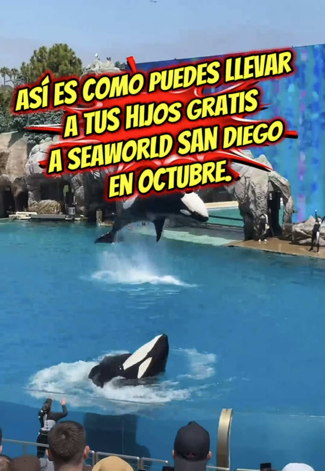 Así puedes ir a SeaWorld San Diego en octubre sin gastar de más 🎟️👇 🗓️ Válido: Del 1 al 31 de octubre de 2026. 1️⃣ Para ir con niños (3 a 12 años): Con el programa Kids Free, entra 1 niño gratis por cada adulto. Incluye la fiesta de Halloween infantil Spooktacular 🍫🎃. 2️⃣ Para los fanáticos del terror: ¡Howl-O-Scream ya abrió sus puertas! Noches de casas embrujadas y zonas de miedo 👻🔥. 🛒 ¿Dónde comprar los boletos? Consigue la entrada Kids Free y tus tickets de Howl-O-Scream tocando directamente en el botón verde encima de mi nombre 👆. 💬 Comenta 