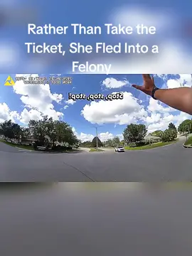 Rather Than Take the Ticket, She Fled Into a Felony #bodycam #police 