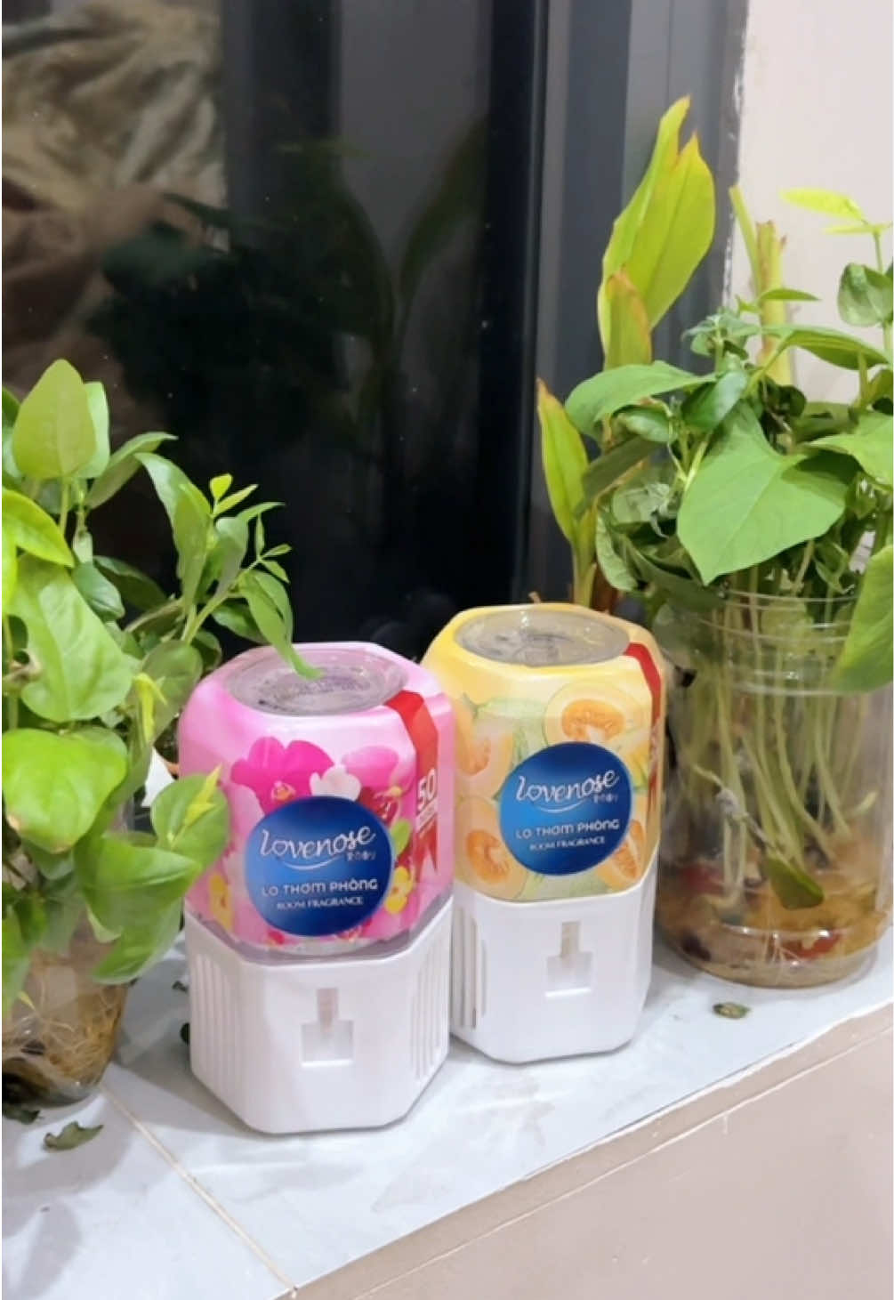Lọ toả hương cho phòng thơm như vườn hoa #lotoahuong #lotoahuonglovenose #lotoahuongthomphong 